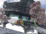 Honda Civic Ex-T 2HGFC3A3XHH452493 снимка