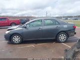 Toyota Corolla S/Le/Xle 2T1BU4EE0AC382143 снимка