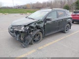 Toyota Rav4 Xle 2T3RFREV5DW084106 снимка