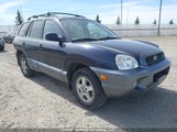 Hyundai Santa Fe KM8SB73D94U732485 снимка