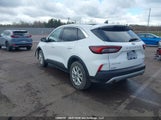 Ford Escape Active 1FMCU9GN4RUA70674 снимка