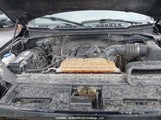 Ford F150 Supercrew 1FTFW1EF7GFC41380 снимка