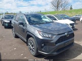 Toyota Rav4 Xle 2T3R1RFV1KC043760 снимка