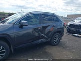 Toyota Rav4 Xle 2T3R1RFV1KC043760 снимка