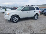 Ford Escape Xlt 1FMCU9DG9BKA58589 снимка