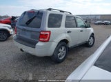 Ford Escape Xlt 1FMCU9DG9BKA58589 снимка