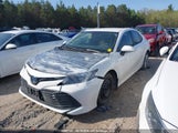 Toyota Camry Le 4T1B31HKXKU514134 photo