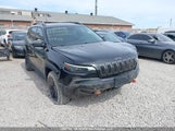 Jeep Cherokee 1C4PJMBX2MD205668 снимка