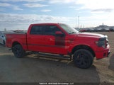 Ford F-150 Fx4 1FTFW1EF0DFD59203 снимка