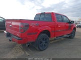 Ford F-150 Fx4 1FTFW1EF0DFD59203 fotografie
