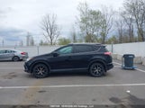 Toyota Rav4 Se 2T3JFREV6GW487786 fotografie