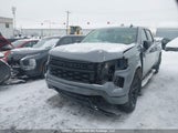 Chevrolet Silverado  Custom 3GCPDBEK7RG405810 снимка