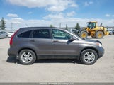 Honda Cr-V Exl 5J6RE4H76AL804508 снимка