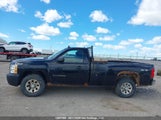 Chevrolet Silverado K1500 1GCNKPEA9BZ426293 снимка