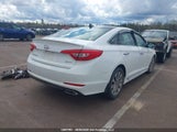 Hyundai Sonata Sport Tech 5NPE34AF7FH253559 снимка