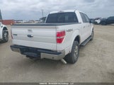 Ford F150 Supercrew 1FTFW1ET0BFC80715 снимка