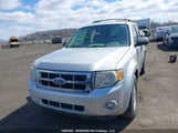 Ford Escape Xlt 1FMCU03Z68KC89568 fotografie