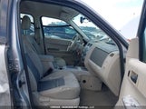Ford Escape Xlt 1FMCU03Z68KC89568 снимка