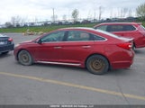 Hyundai Sonata Sport/Limited 5NPE34AF6FH226174 снимка