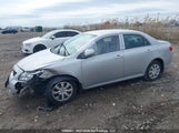 Toyota Corolla Ce 2T1BU4EE4AC442859 снимка