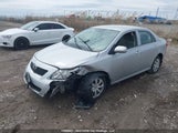 Toyota Corolla Ce 2T1BU4EE4AC442859 photo