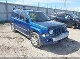 Jeep Patriot Limited 1J4NF4GBXAD562446 fotografie