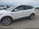 Ford Escape Titanium 1FMCU9J91EUC25168 снимка