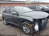 Hyundai Tucson Preferred Awd/Preferred Awd With Trend Package KM8JBCDE9TU462863 снимка