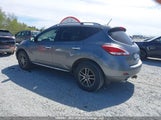 Nissan Murano Platinum/S/Sl/Sv JN8AZ1MW9EW502013 fotografie