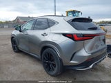 Lexus Nx 350 Luxury/350 F Sport 2T2KGCEZ3RC051200 fotografie