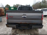 Ford F-150 Fx4 1FTFW1ET5DKE20204 снимка