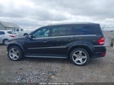 Mercedes-Benz Gl 350 Bluetec 4Matic 4JGBF2FE4CA763350 снимка