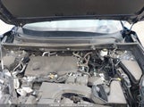 Toyota Rav4 Xle 2T3R1RFV5NW289889 photo