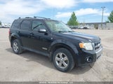 Ford Escape Limited 1FMCU94198KA53834 снимка