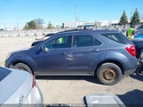 Chevrolet Equinox Ls 2GNFLEEKXE6369401 fotografie