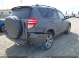 Toyota Rav4 Sport 2T3BF32V09W005967 снимка