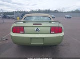 Ford Mustang Convertible 1ZVFT84NX55213440 снимка