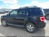 Ford Escape Xlt 1FMCU93G79KA35386 снимка