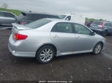 Toyota Corolla S/Le/Xle 2T1BU40E49C142905 снимка