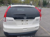 Honda Cr-V Touring 2HKRM4H90DH104731 снимка