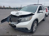 Honda Cr-V Touring 2HKRM4H90DH104731 снимка