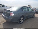 Chevrolet Malibu Lt 1G1ZT51846F268225 photo