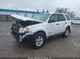 Ford Escape Hev 1FMCU49H08KE28115 fotografie
