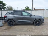 Ford Escape 1FMCU9NA5RUB40540 fotografie