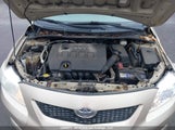 Toyota Corolla Ce 2T1BU4EE4AC307509 снимка