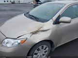 Toyota Corolla Ce 2T1BU4EE4AC307509 fotografie