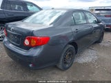 Toyota Corolla S/Le/Xle 1NXBU4EE3AZ292273 photo