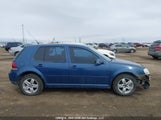 Volkswagen City Golf 2.0L 9BWEL41J684026057 fotografie