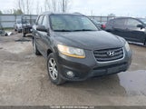 Hyundai Santa Fe Gl 2.4 Premium 5XYZGDAB4BG080068 fotografie