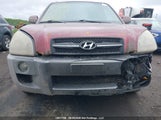 Hyundai Tucson KM8JM72D07U479813 снимка